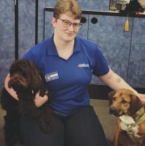 Meet your Posher, Taylor